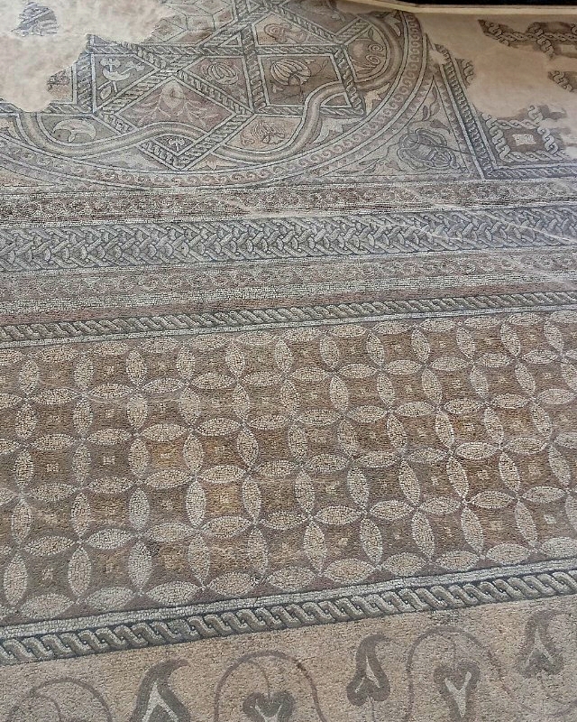 Scoala Altfel - excursie Constanta (9)