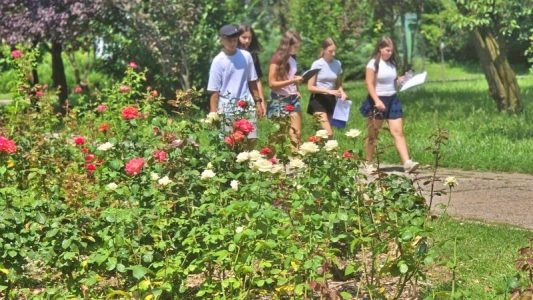 Dincolo de materii: trei zile de explorare la Școala de Vară Step by Step